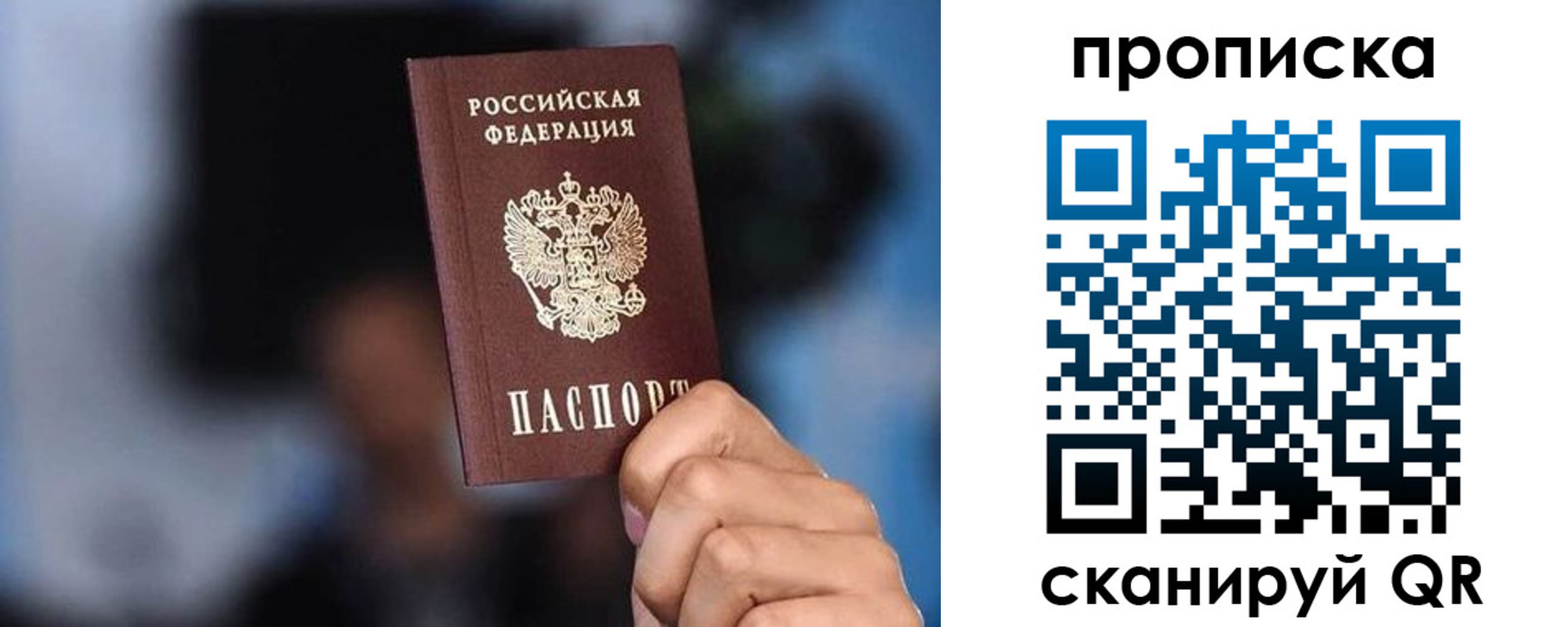 прописка законно в Павловске